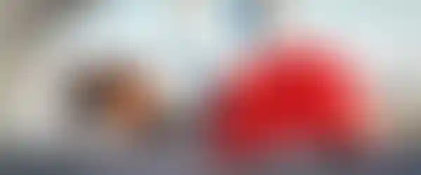 Изображение проекта