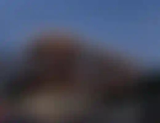 О проекте